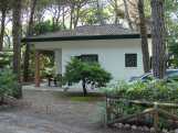 Bungalow in pineta a Eraclea