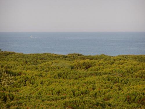 Vista dall'alto