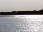 Laguna del Mort