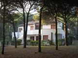 Villa Mayorca in pineta